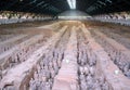 Exhibition of the famous Chinese Terracotta Army in Xian China Royalty Free Stock Photo